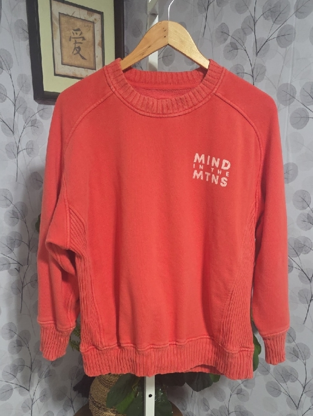 aerie Coral 'Mind in the Mtns' Pullover Sweatshirt - Picture 3 of 7